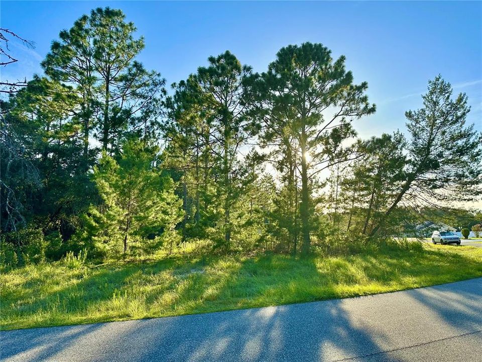 Recently Sold: $35,000 (0.26 acres)