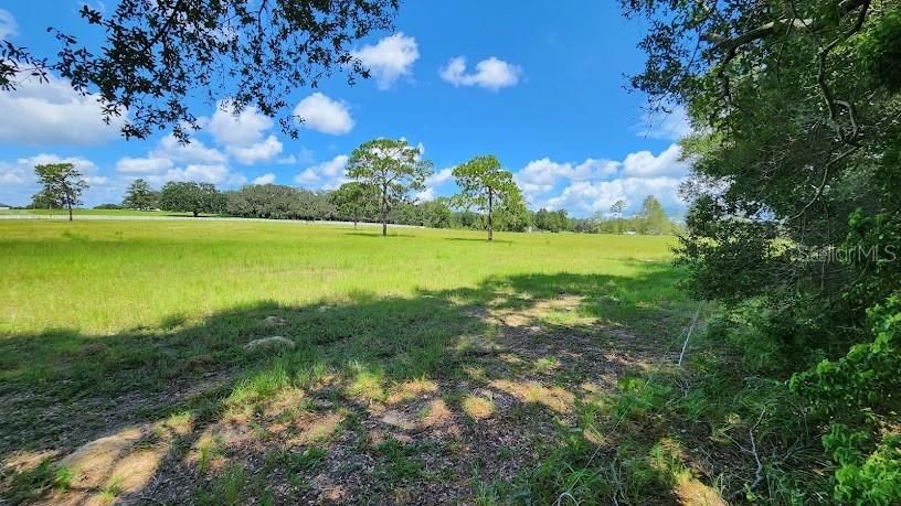 Recently Sold: $43,500 (1.14 acres)
