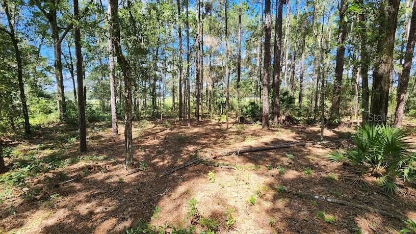 Recently Sold: $43,500 (1.14 acres)