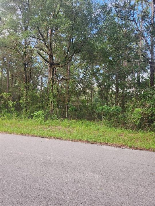 Recently Sold: $11,900 (0.22 acres)