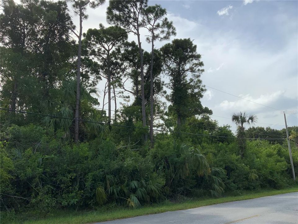 Active With Contract: $140,000 (0.91 acres)