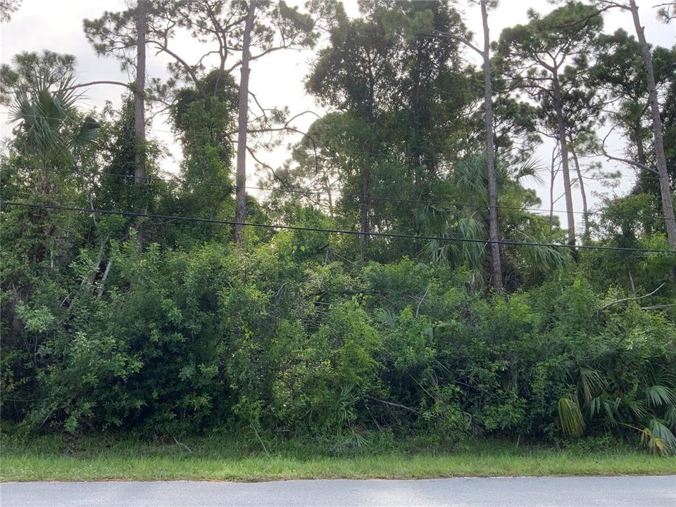 Active With Contract: $140,000 (0.91 acres)