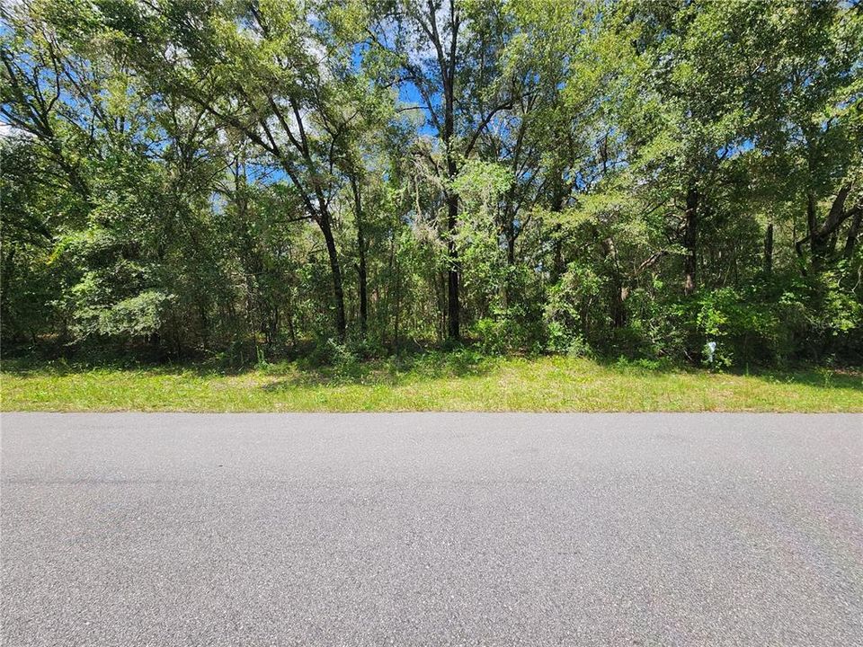 Recently Sold: $25,000 (0.46 acres)