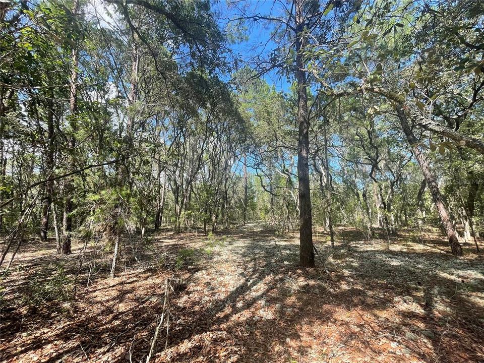 Recently Sold: $105,000 (9.55 acres)
