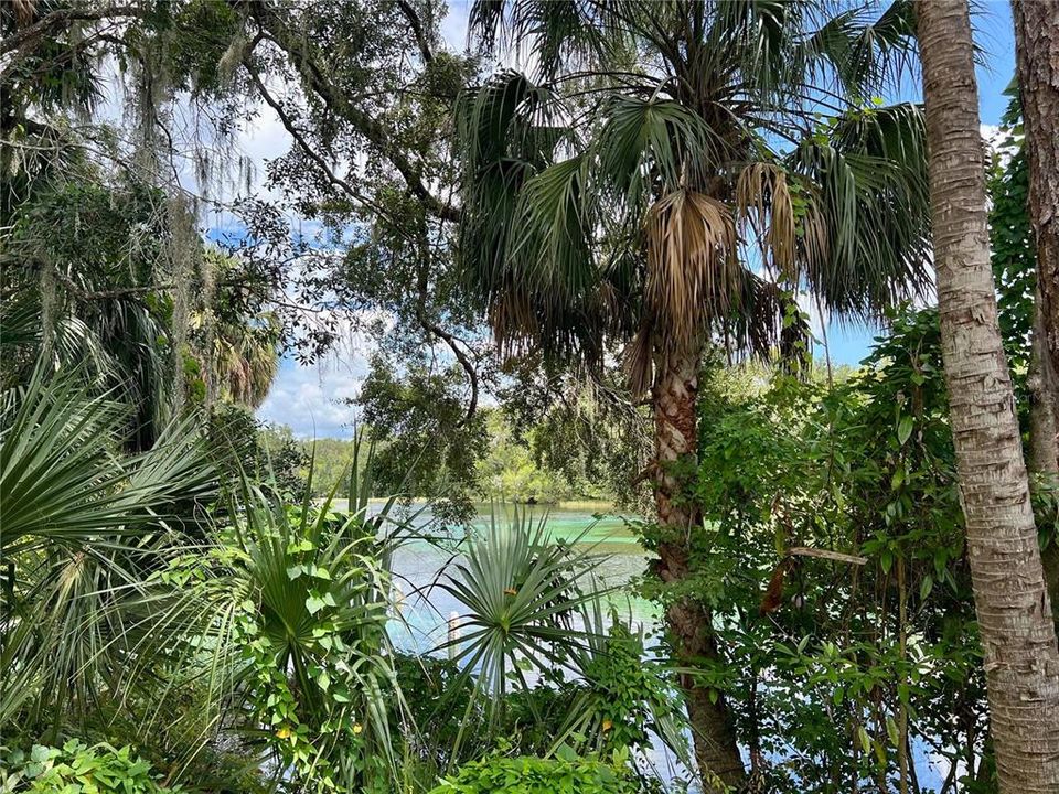 Private Resident Beach to Rainbow River