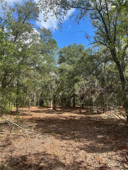 Recently Sold: $50,000 (1.25 acres)