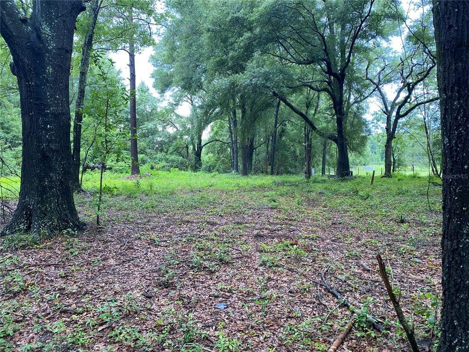 Vendido Recientemente: $54,900 (1.00 acres)