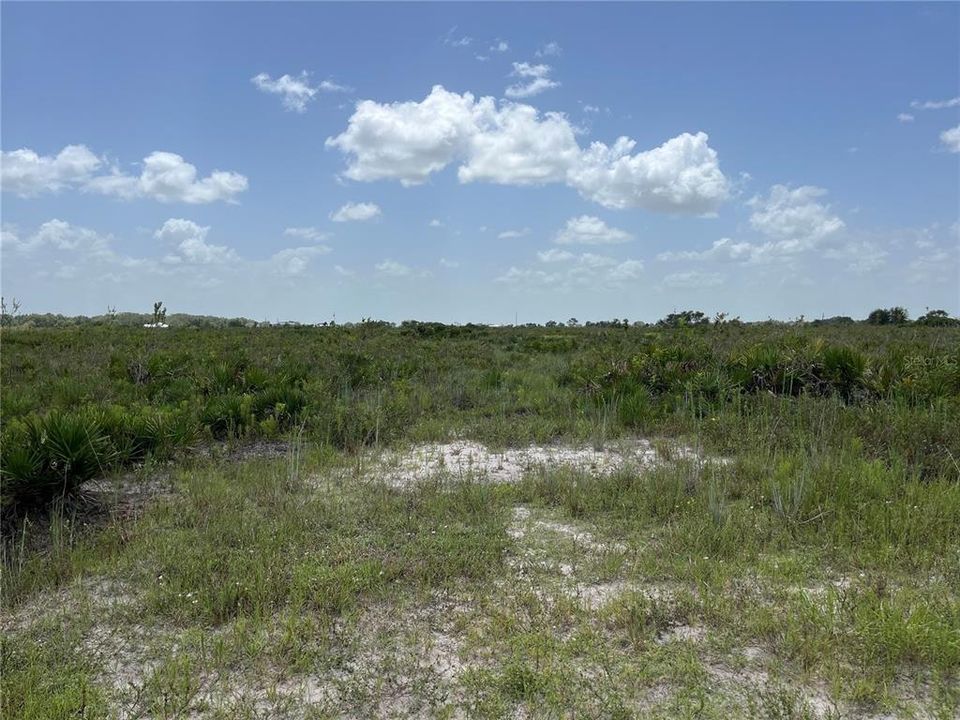 En Venta: $54,900 (1.25 acres)