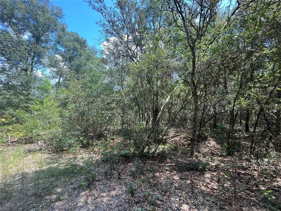 Recently Sold: $5,900 (0.34 acres)