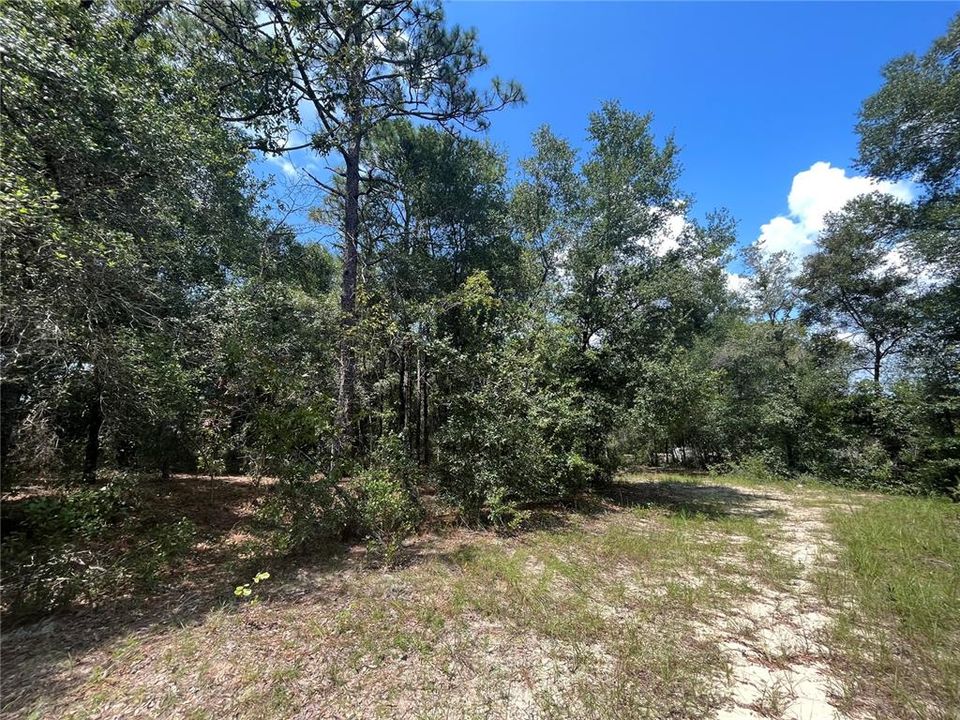 Recently Sold: $5,900 (0.34 acres)