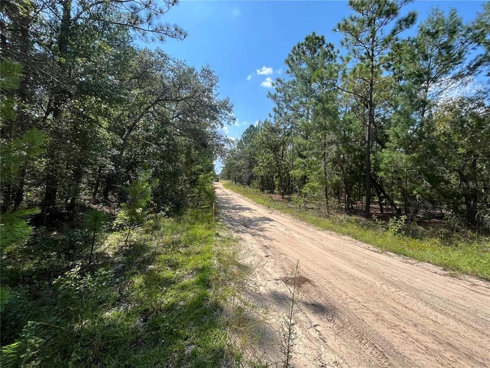 Active With Contract: $7,600 (0.34 acres)