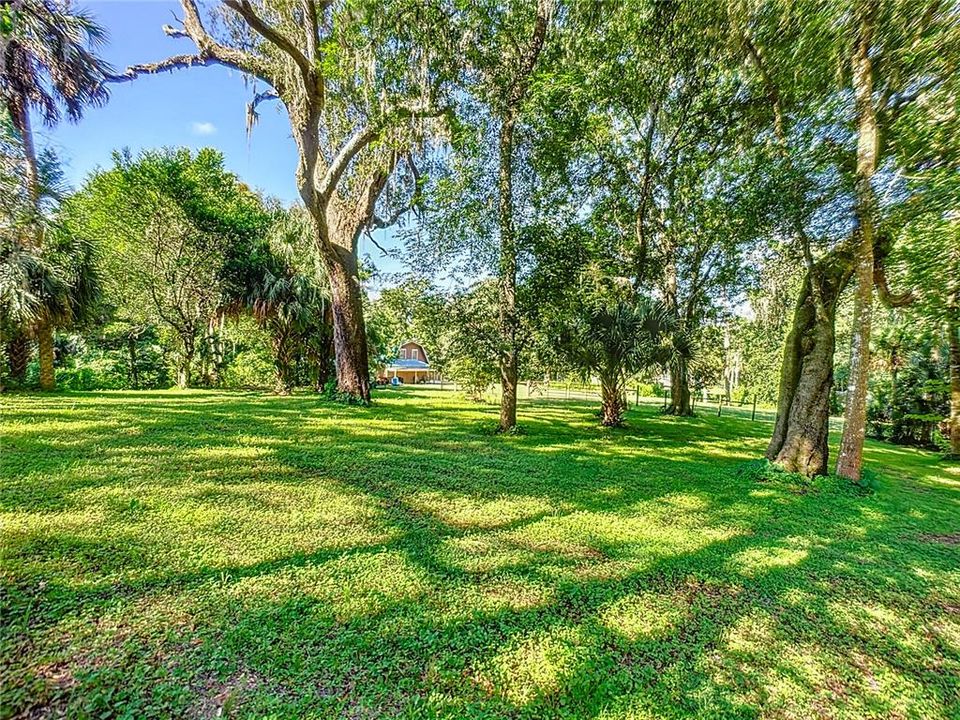 Enchanted scene from your 0.67 acre lot that is fenced for horses!