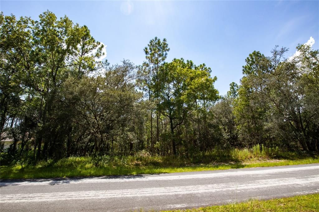 Recently Sold: $55,000 (1.06 acres)