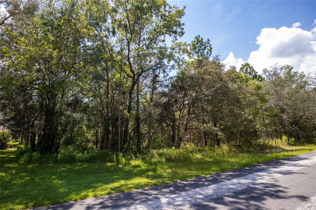 Recently Sold: $55,000 (1.06 acres)