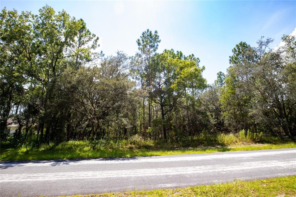 Recently Sold: $55,000 (1.06 acres)