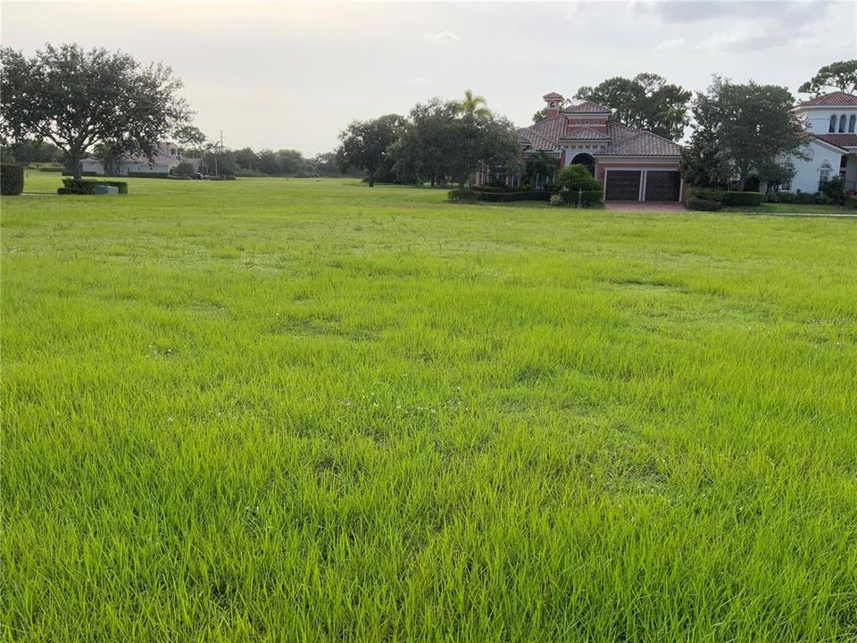 Looking Across the Street from Lot