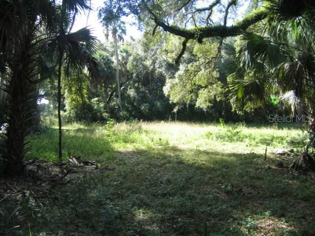 For Sale: $44,900 (1.03 acres)