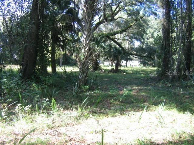 For Sale: $44,900 (1.03 acres)