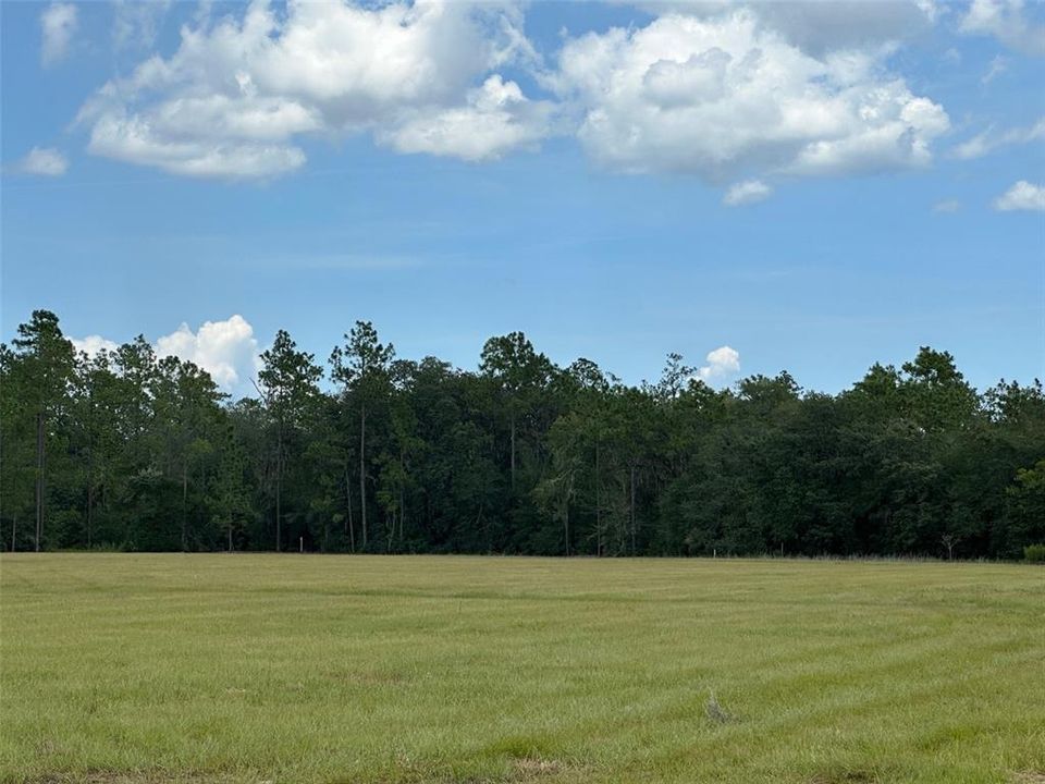 Vendido Recientemente: $699,900 (85.74 acres)