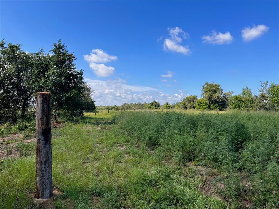 Recently Sold: $119,000 (4.98 acres)