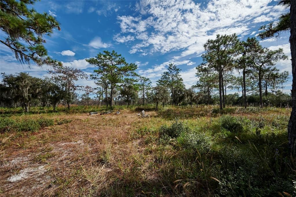 Vendido Recientemente: $145,000 (10.00 acres)