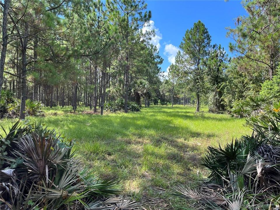 Recently Sold: $365,000 (17.60 acres)