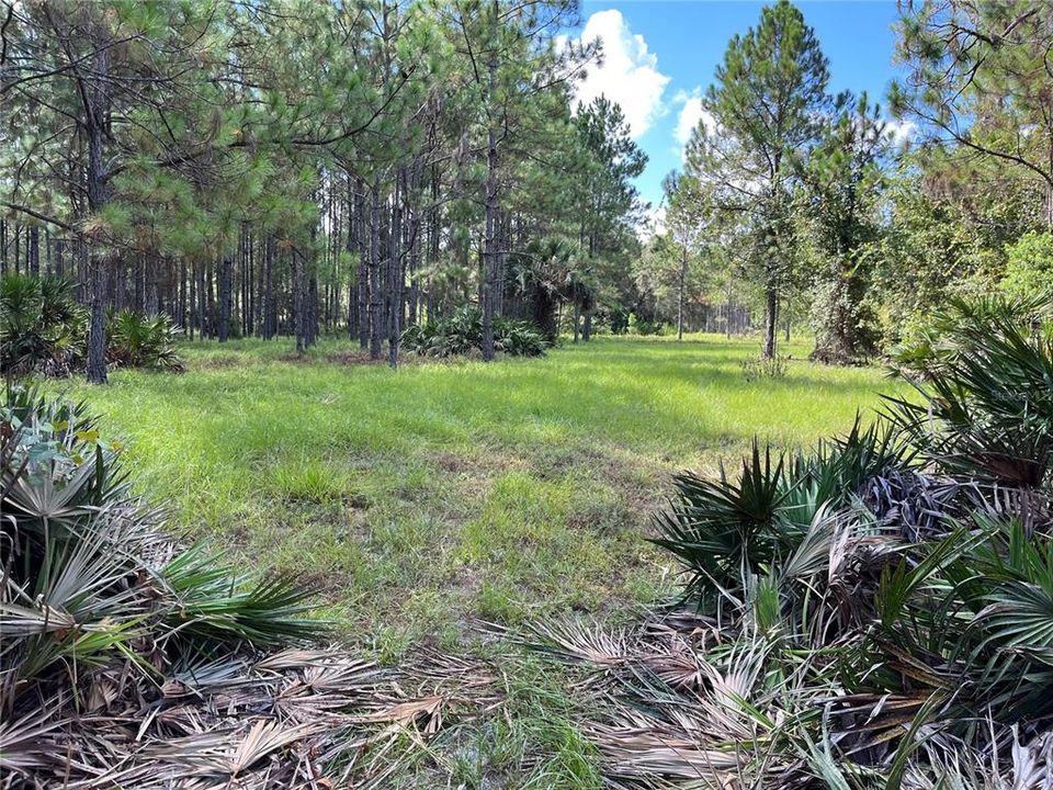 Recently Sold: $365,000 (17.60 acres)