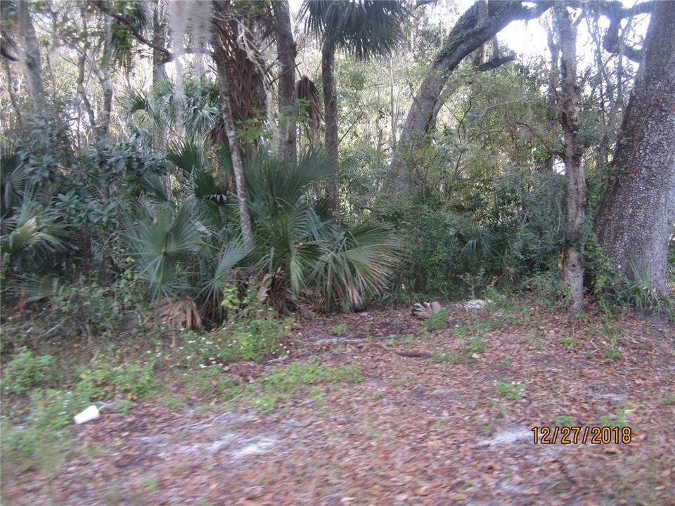 Recently Sold: $9,990 (0.18 acres)