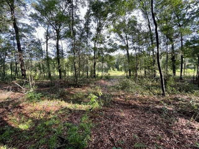 Recently Sold: $55,000 (0.90 acres)