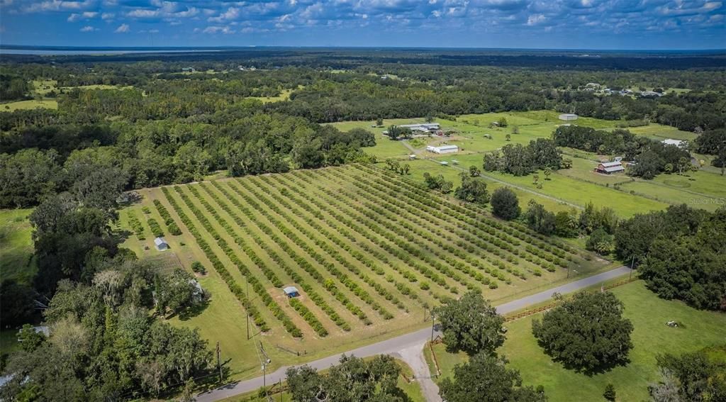 backs up to Alafia State Park