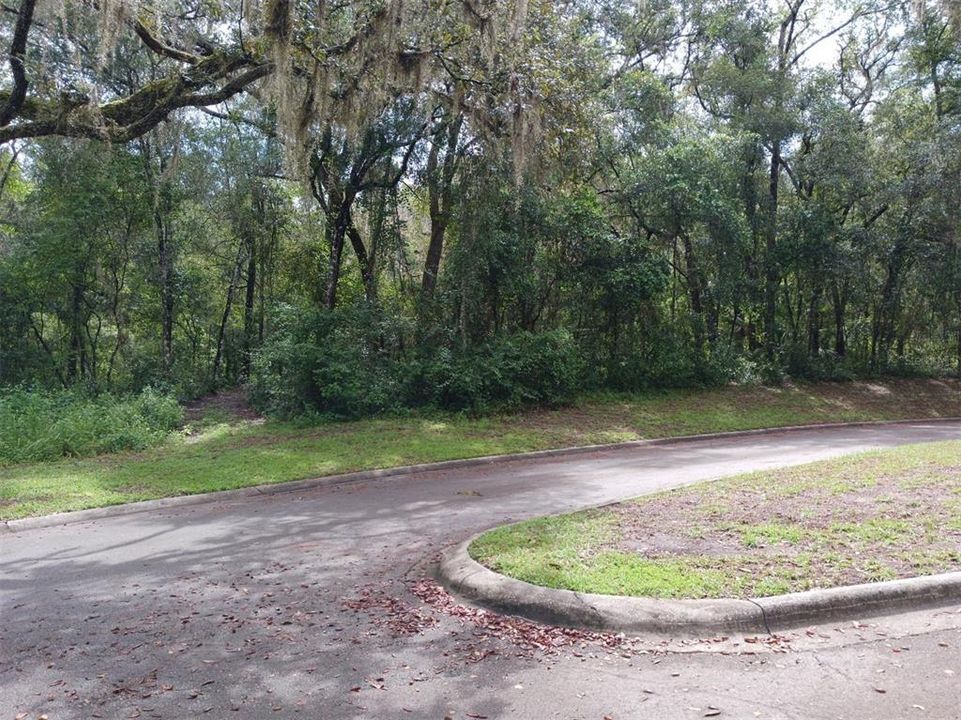 Vendido Recientemente: $42,000 (1.65 acres)