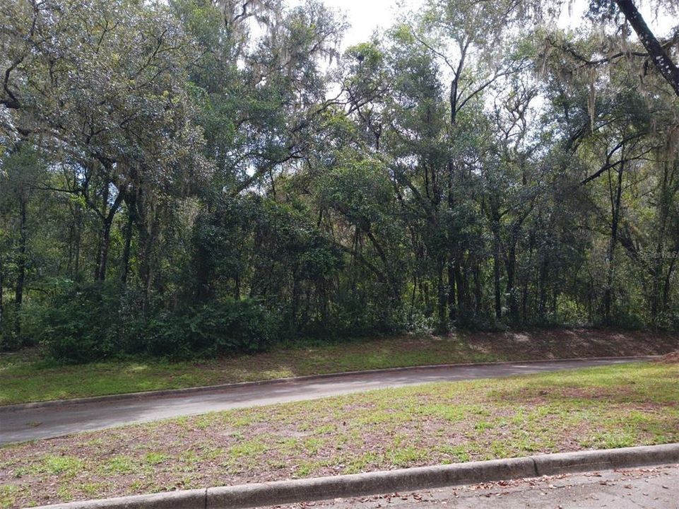 Vendido Recientemente: $42,000 (1.65 acres)