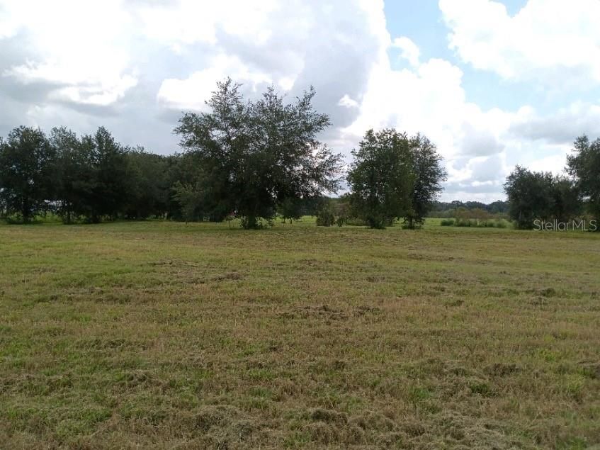 Vendido Recientemente: $139,000 (5.00 acres)