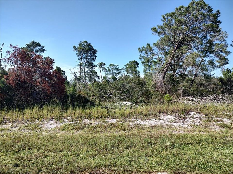 Wooded lot on a paved road with central water available.