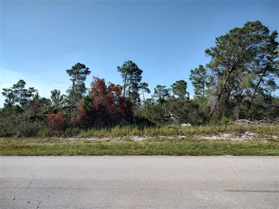 Vacant lot zoned R2 for duplex or single family home.