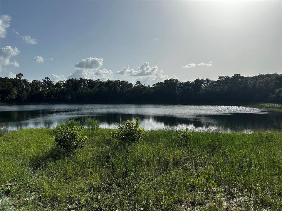 Recently Sold: $45,000 (0.36 acres)