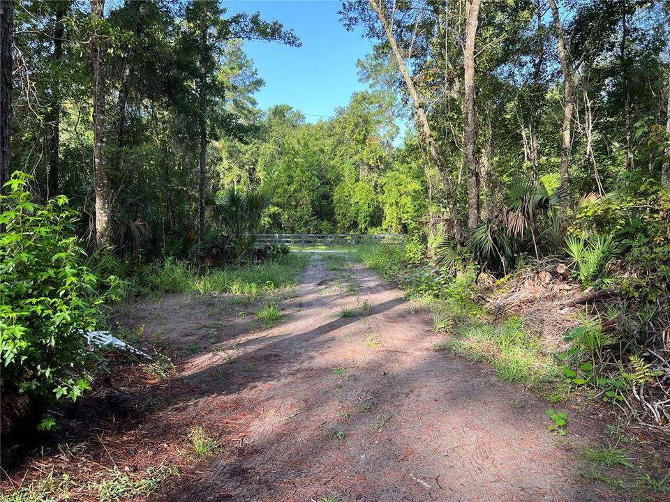 Filled driveway looking at the road from the property