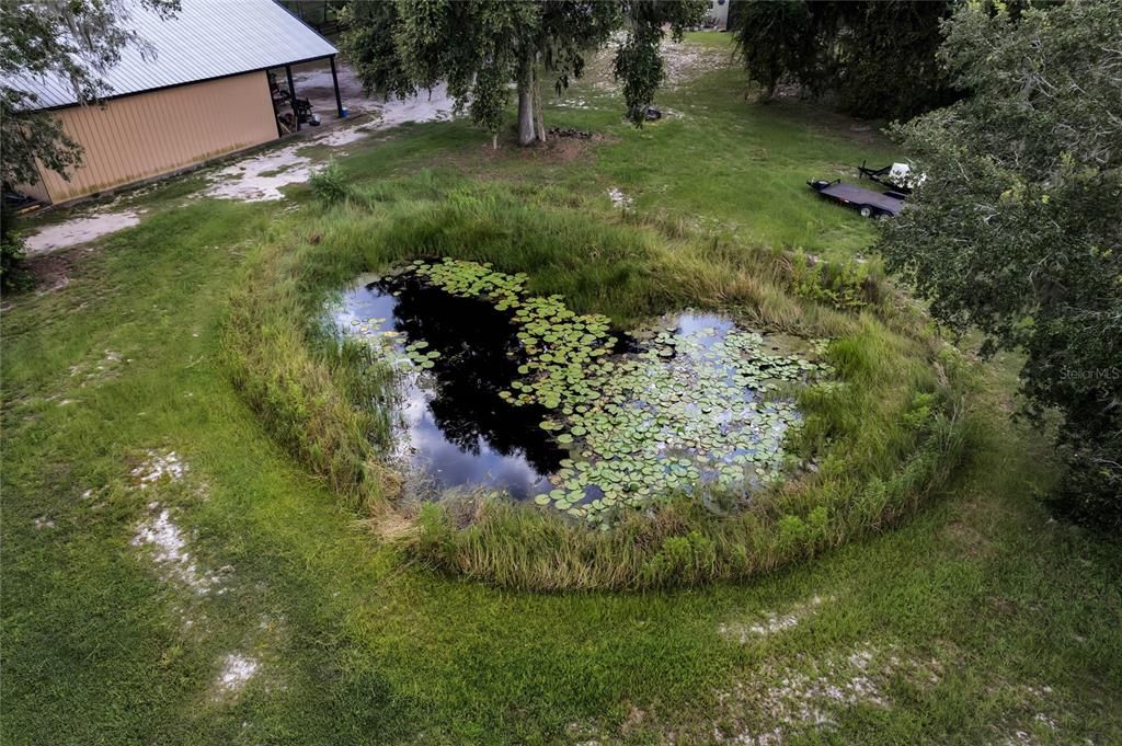 Nice little pond.