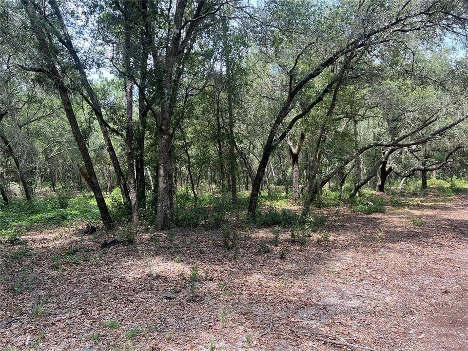 Recently Sold: $270,000 (10.01 acres)