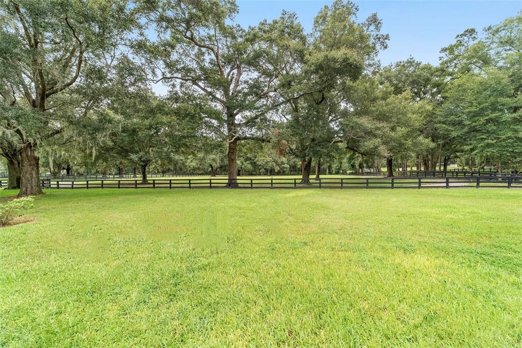 BACK YARD WITH VIEW OF PASTURE