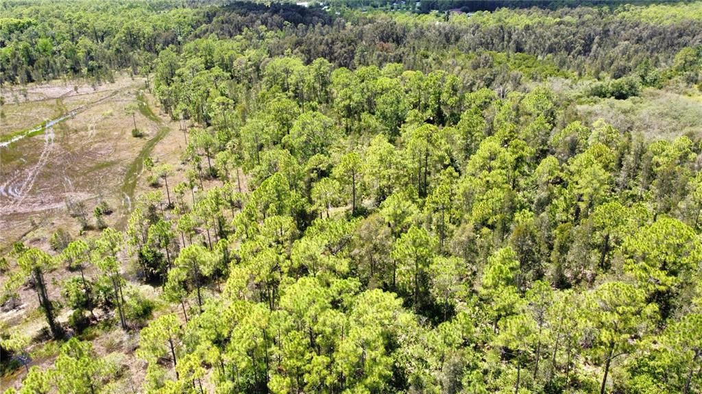 Aerial of property