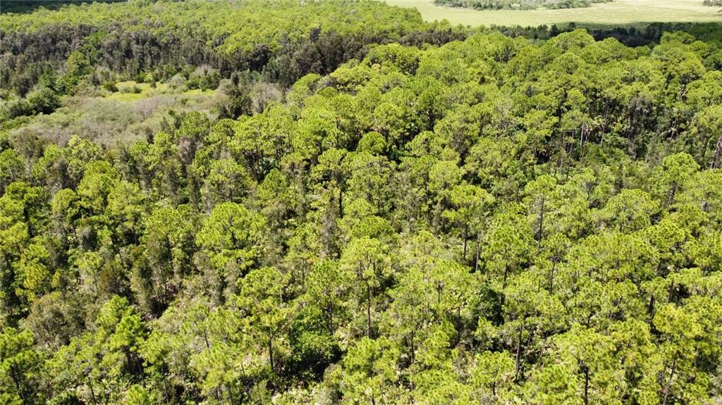 Aerial of property