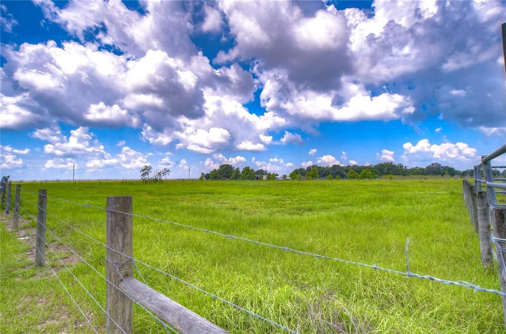 If you are looking for a large, level lot that is ready to build on, look no further!