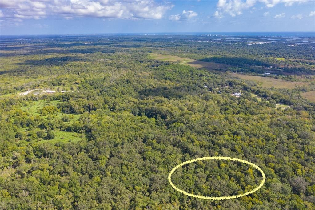 Vendido Recientemente: $7,250 (2.50 acres)