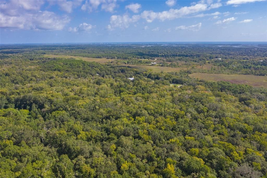 Recently Sold: $7,250 (2.50 acres)