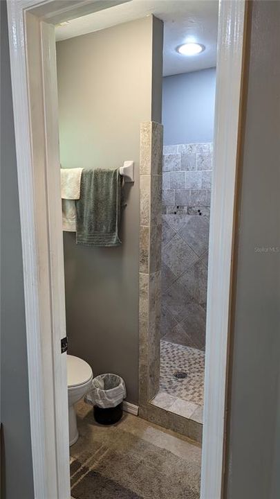 Master Bath Shower Entry