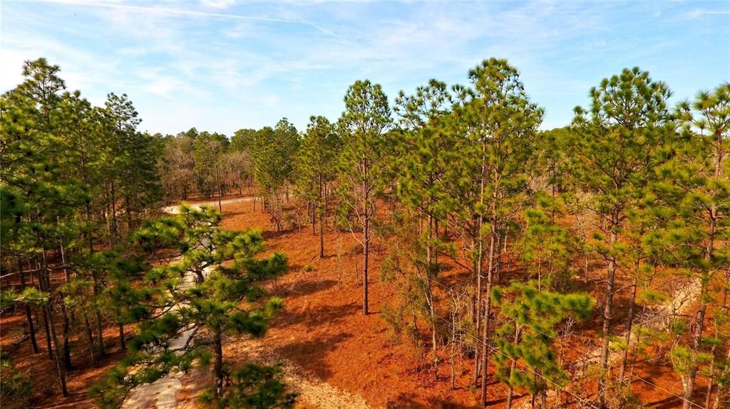 Recently Sold: $24,500 (1.00 acres)