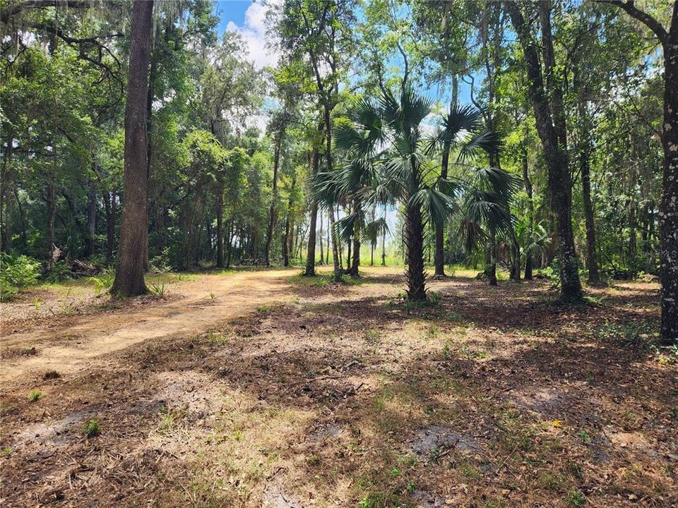 Vendido Recientemente: $65,000 (6.08 acres)