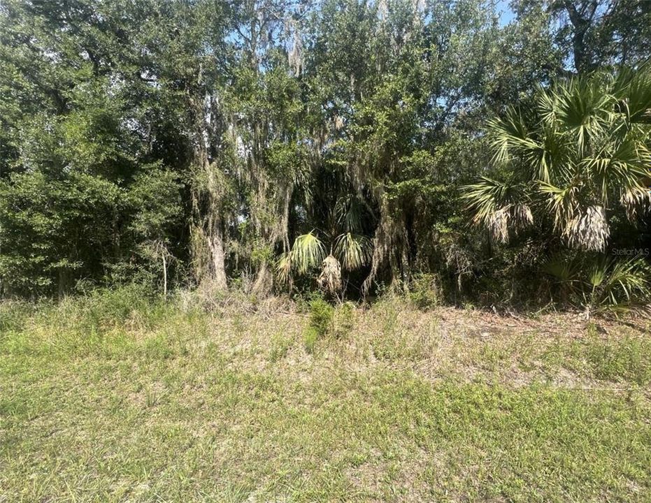 Recently Sold: $28,707 (1.16 acres)