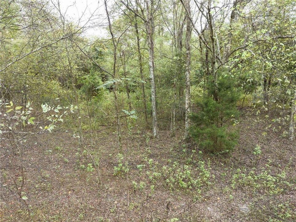 Recently Sold: $68,900 (5.08 acres)